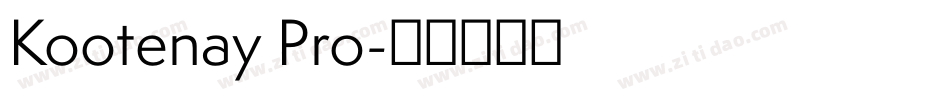 Kootenay Pro字体转换